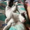 yanis_7431