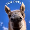 rios_pets