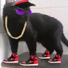 gato_de_nike0