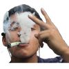 david.cuzman5