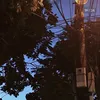pee2095