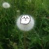 randomaccount1553