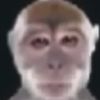r_jarqu1n