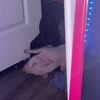 angief_1
