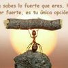 efren.pineda85