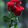 mohand.arezki47