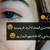 samreenakn4864