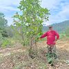 paklong.farmers