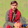 alisagarbaloch