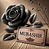 mubsharhussain51