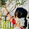 jihatmia545