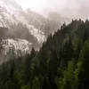 odinoci_chell