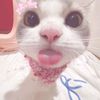 nanaayayaaa00