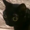jayjayy00ng