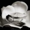 benaicha.souad
