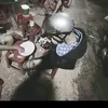 Kuu Đỏ 🧸