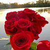 alihassan854717