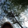 lolivop_