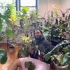 plantdaddypanchito
