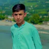 sayed anwar