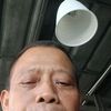 daryono_sinausae