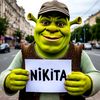 brawl_nikit