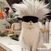 iamcamappower