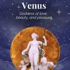 venusfemme