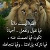 tahani.el.abedi