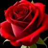 user7790180037852