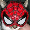 thespidermanj