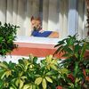 dogs_or_cats1