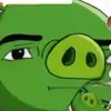 gogolink5