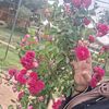 user4439063711177