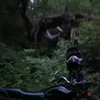 dk_samurai
