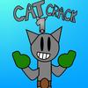 cat.crack.1