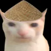 bongolus