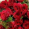 phyo.phyo1991