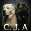 C.J.A Ph Kennel