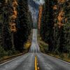 rawanalotaibi579
