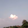 zanamu2