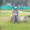 lleiner.peaherrer