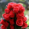 user11975416277205