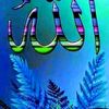 user49149699425453