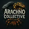 arachno_collective
