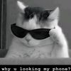 user30793049617918