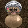 fanni.ibrahim6