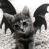 xlinoyeyow