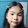 pleng1963