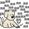 user26602400166937